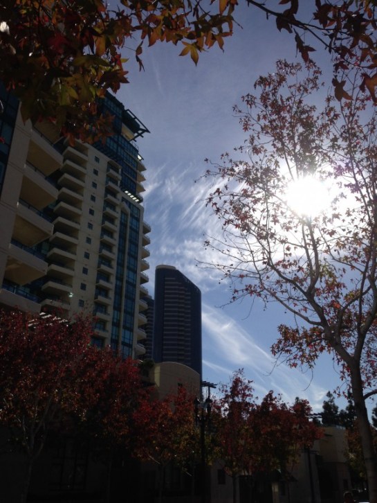 Beauty is everywhere, if you look.