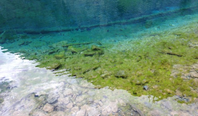 Falling gasoline/oil prices: Can someone please&nbsp;explain?