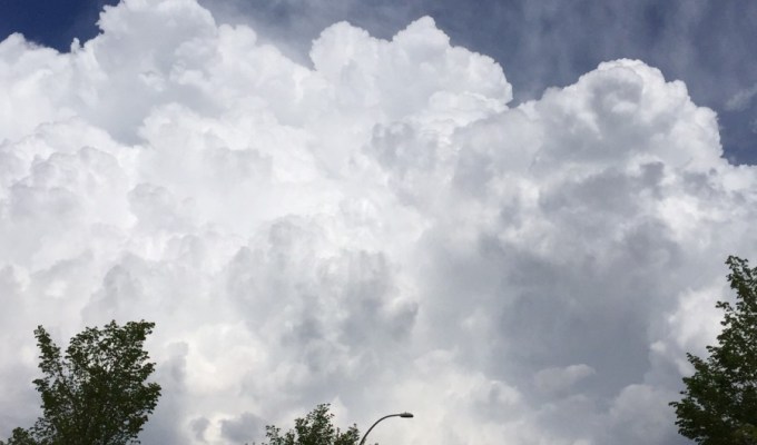 Why are big European oil companies urging action on climate change? What are they selling now,&nbsp;bananas?