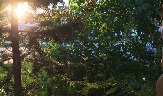 Buy your turbo SUV on a 12 month lease, we are NOT awash in&nbsp;oil…