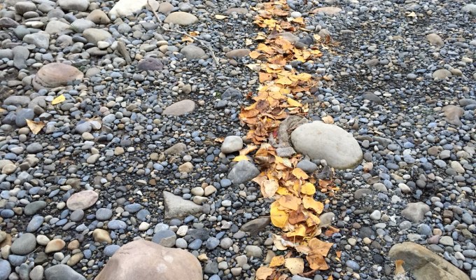 Don’t you love German humor: Volkswagen engineers make complex environmental problem look like child’s&nbsp;play