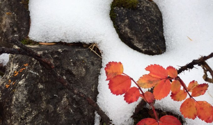 Obama kills Keystone pipeline, are we saved from global&nbsp;warming?