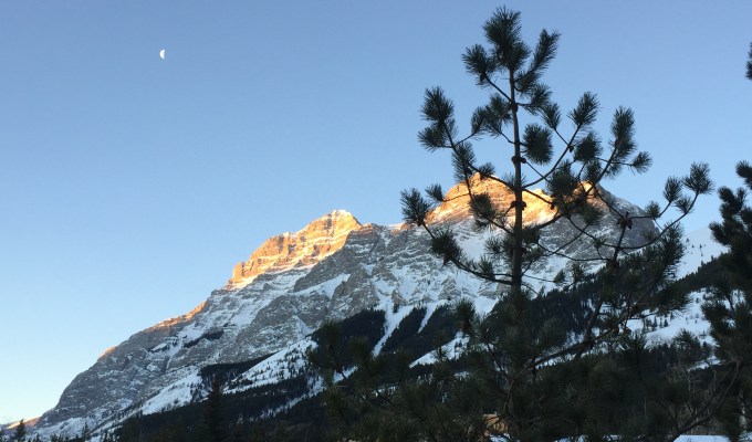 Yes, OPEC gave you low gasoline prices. And they can take them away just as&nbsp;easily.