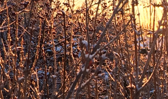 The best energy is positive energy and it can come from&nbsp;anywhere