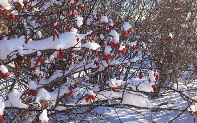 Electric vehicle domination is a mirage born of lazy reporting and wishful&nbsp;thinking