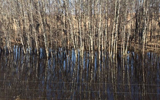 Ethnocentricity: just because you saw it doesn’t make it&nbsp;true