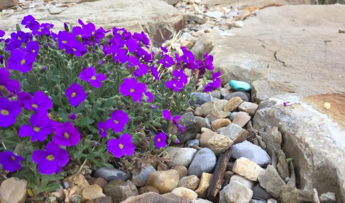 The weird quietness in the energy world – doesn’t anything bad happen&nbsp;anymore?