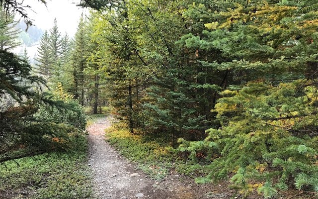 A butterfly’s wings might start a tornado, but that doesn’t mean the energy world works that&nbsp;way