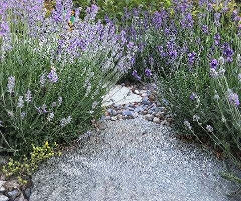 Rats eating your car? Don’t laugh, it could happen to you, but the road to sensible renewables is still worth&nbsp;it