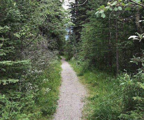 Billion-dollar baby steps – now THIS is how to transition to green&nbsp;energy