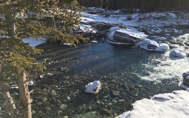 Know the environmental footprint of your life, then&nbsp;protest