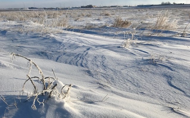 Environmental extremism starts self-destructing – maybe now we can start thinking about a realistic energy transition&nbsp;plan