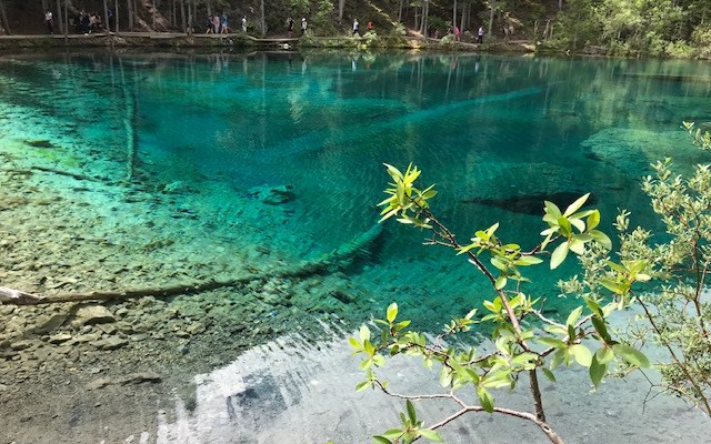 Canada’s petroleum sector will reinvent, not fold, and the world will be better for&nbsp;it