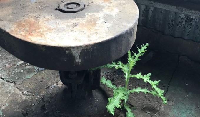 Bernie Sanders, prostitution, and fossil fuels – three things that will never go&nbsp;away