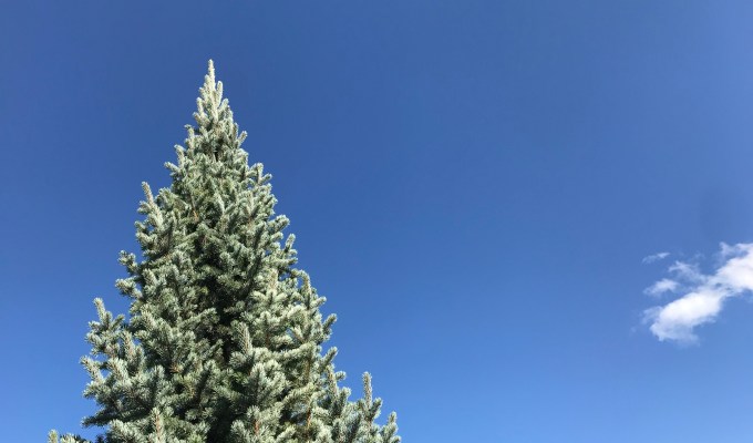 Oh lord, stop with the “climate emergency” nonsense – debasing the word emergency will not motivate a weary public to change its&nbsp;lifestyle