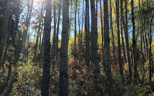 Is constructive energy dialogue even possible when activists seek to destroy the fuel that keeps 7 billion people&nbsp;alive?