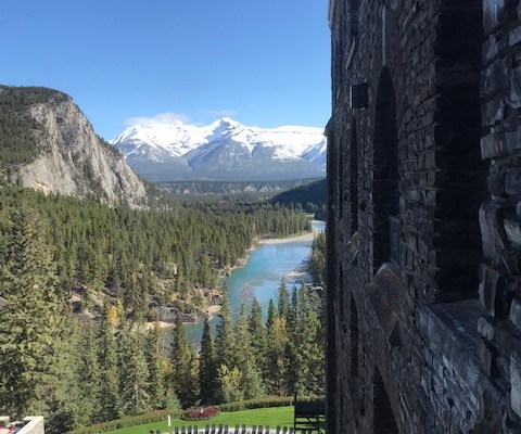 Climate change freight train accelerating, the bridge is out, and Lord of the Flies children calling the shots. Nothing to do but enjoy the scenery until the climate masterplan blows sky&nbsp;high