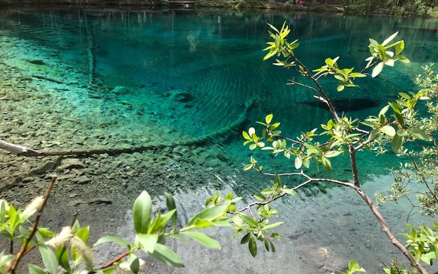 I hear there’s some bug going around…here’s what to do about&nbsp;it