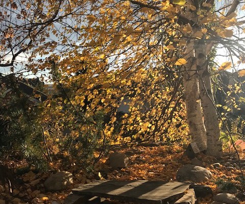 Rational, independent thought: kicked to the ditch on the divided social media highway to&nbsp;hell