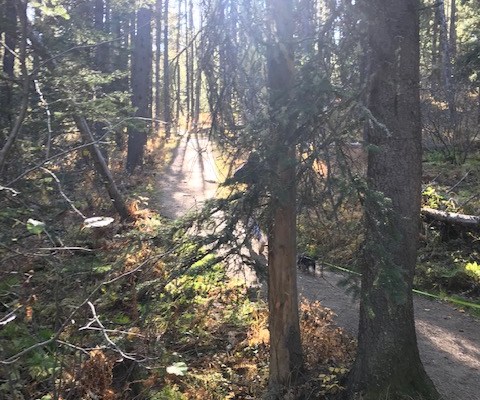 Why bet against human&nbsp;ingenuity?