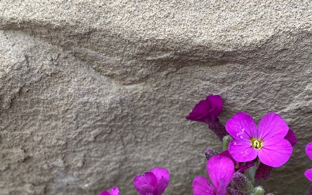 Cutting-edge colonialism: “Hey Africa, we’ll take all that cobalt, but we decided your hydrocarbons have to stay in the&nbsp;ground”