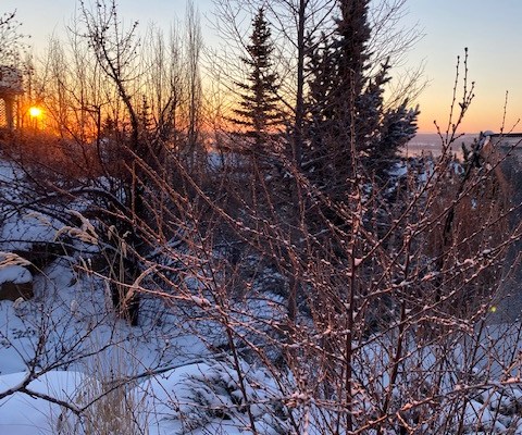 Europe’s energy calamity offers a global teaching moment – do not try this at&nbsp;home